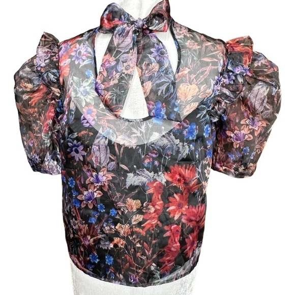Maeve by Anthropologie  Organza Blouse Size XS - Picture 5 of 9